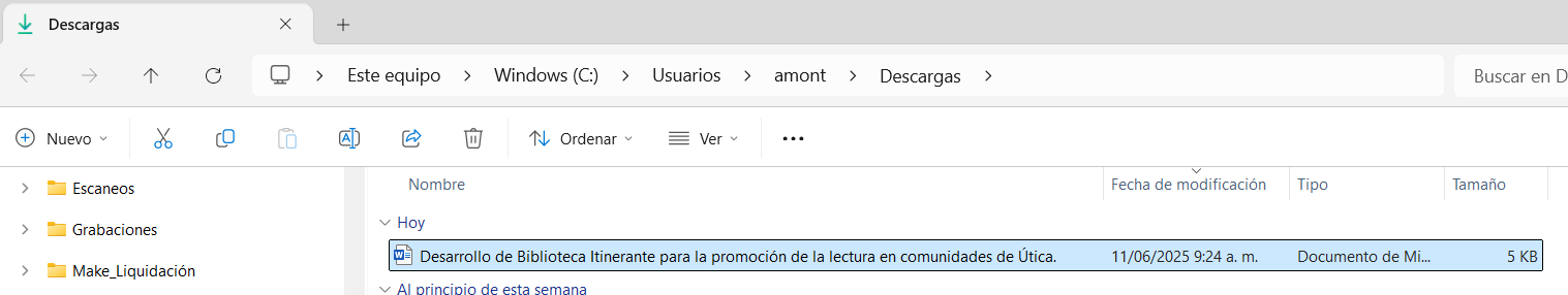 Descargar perfil del proyecto