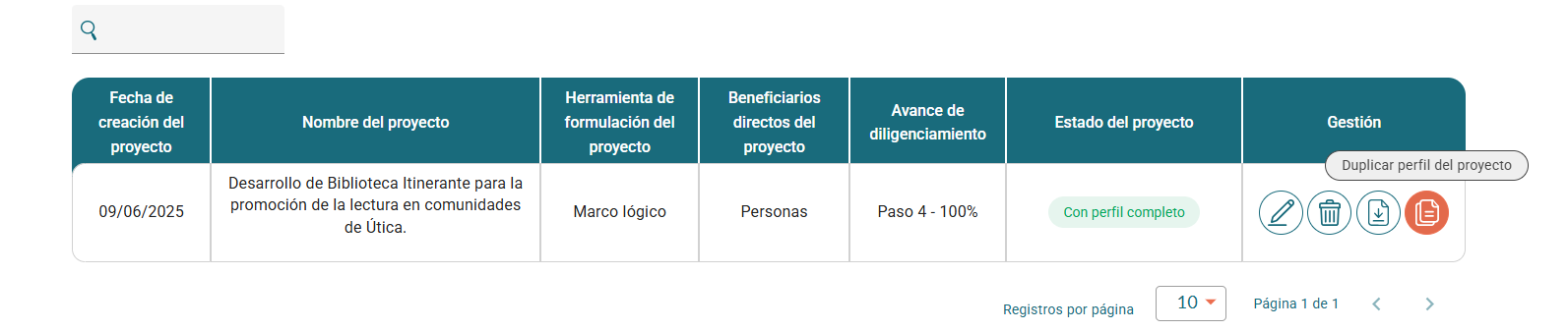 Duplicar perfil del proyecto