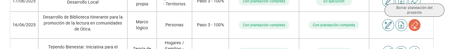 Borrar planeación del proyecto